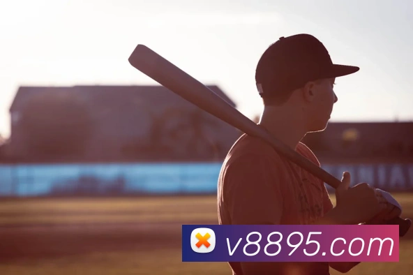 v8体育入口平台生态图